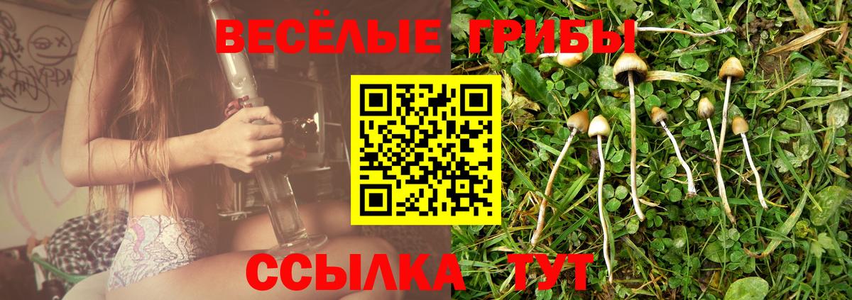 Псилоцибиновые грибы Psilocybe  Вход с VPN  Павлово  Галлюциногенные грибы Magic Shrooms 