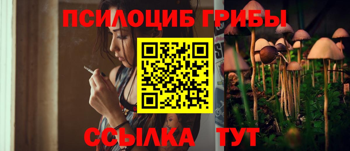 Галлюциногенные грибы прущие грибы Павлово