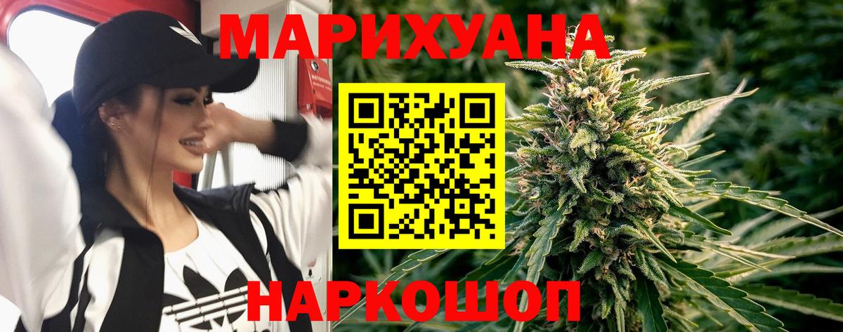 Бошки Шишки план Павлово